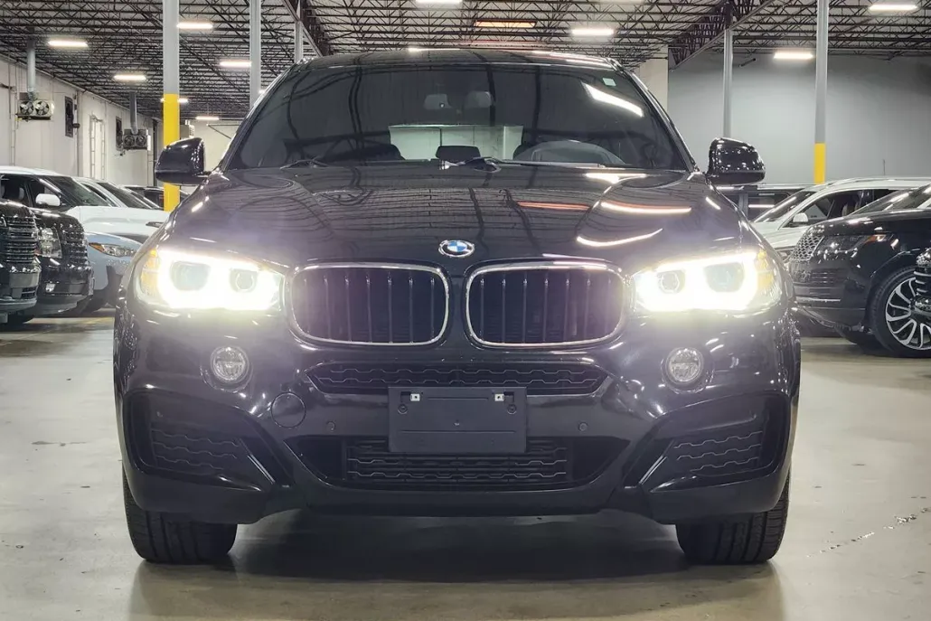 2017 Bmw X6 xDrive35i photo 1