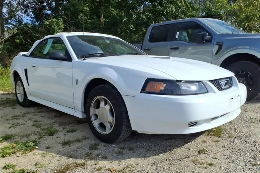 2000 Ford Mustang Base photo 1