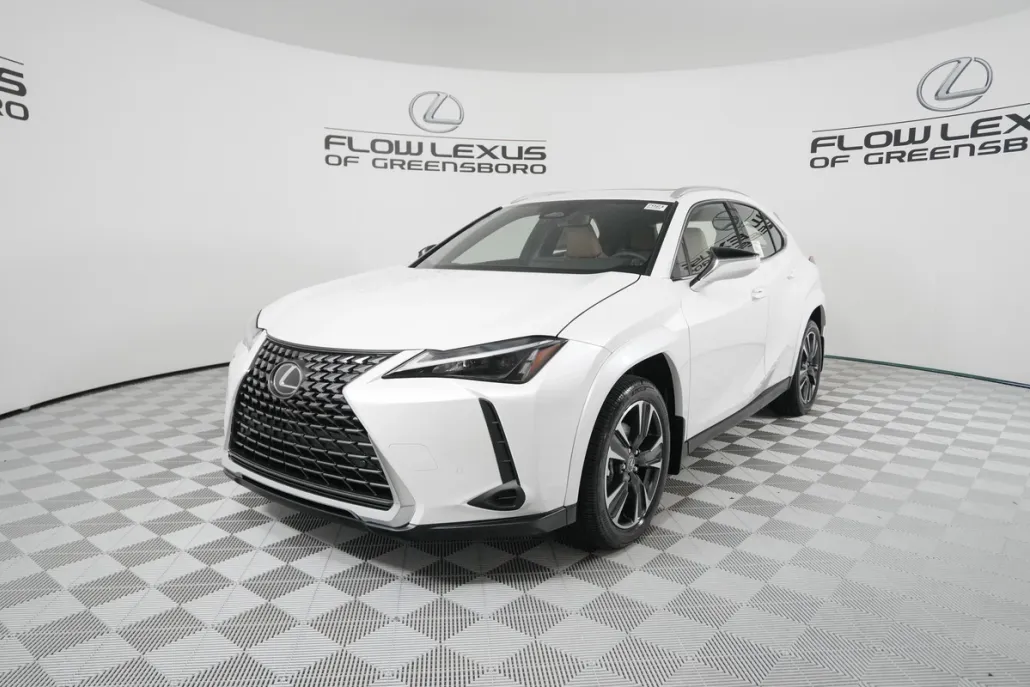2025 Lexus UX Premium photo 1