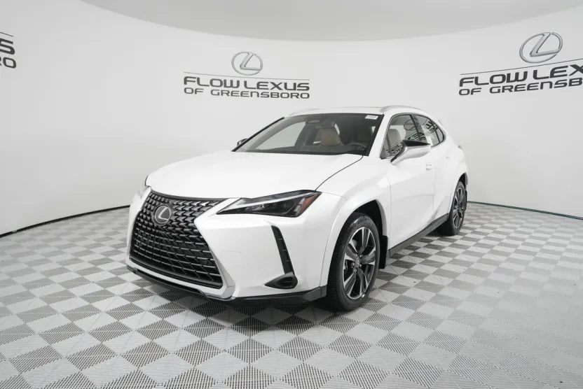 2025 Lexus UX Premium photo 1