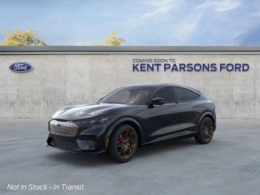 2025 Ford Mustang Mach-E GT photo 1