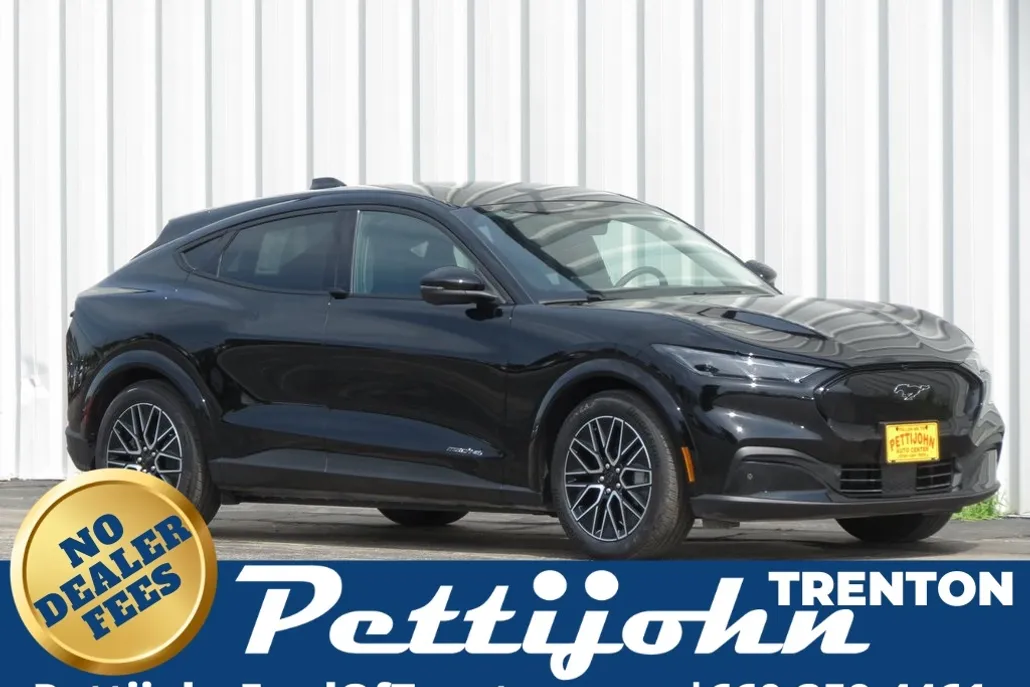 2025 Ford Mustang Mach-E Premium photo 1