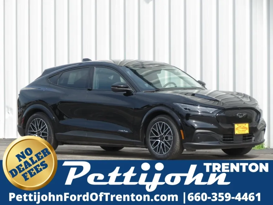 2025 Ford Mustang Mach-E Premium photo 1