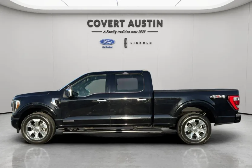 2022 Ford F-150 Platinum photo 1