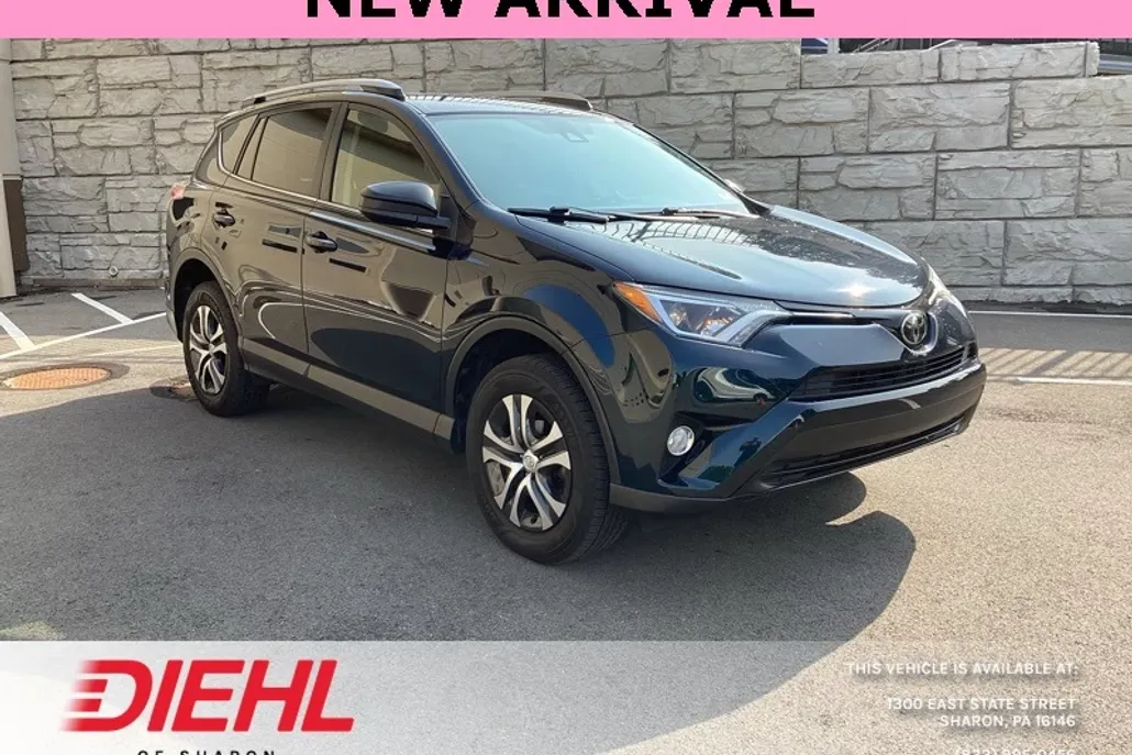 2017 Toyota RAV4 LE Sport photo 1
