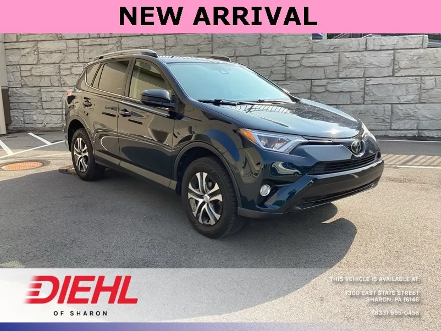 2017 Toyota RAV4 LE Sport photo 1