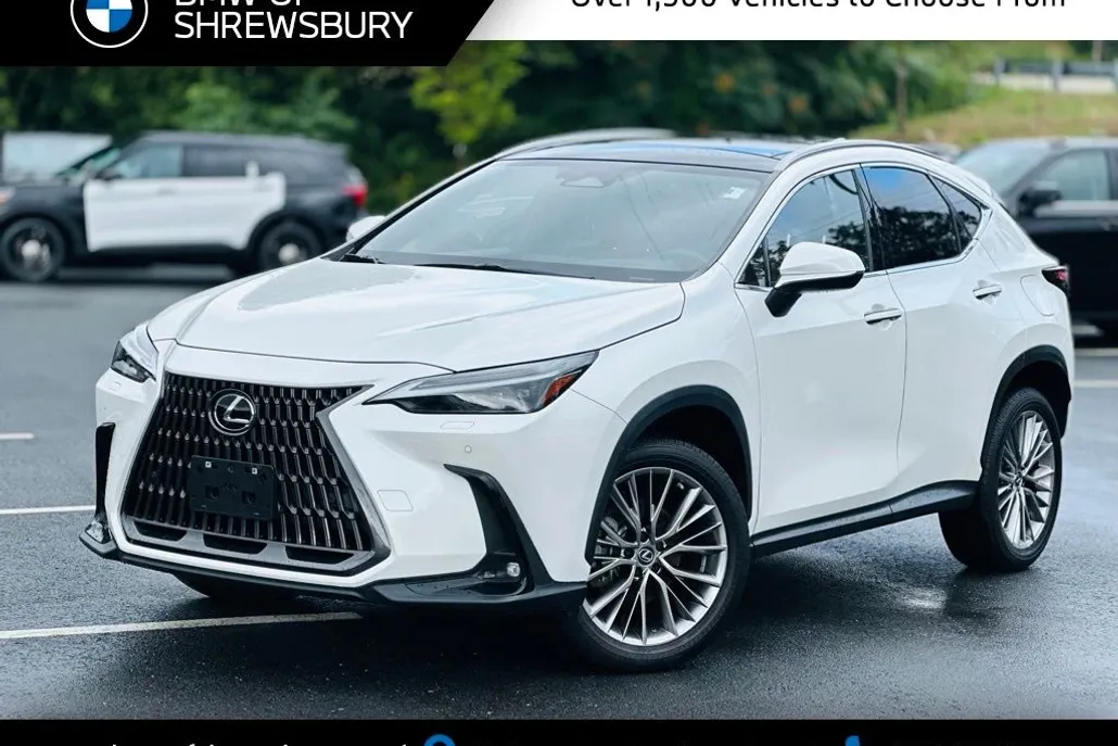 2022 Lexus NX 350 Luxury photo 1