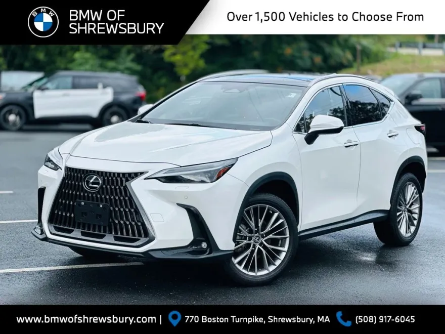 2022 Lexus NX 350 Luxury photo 1