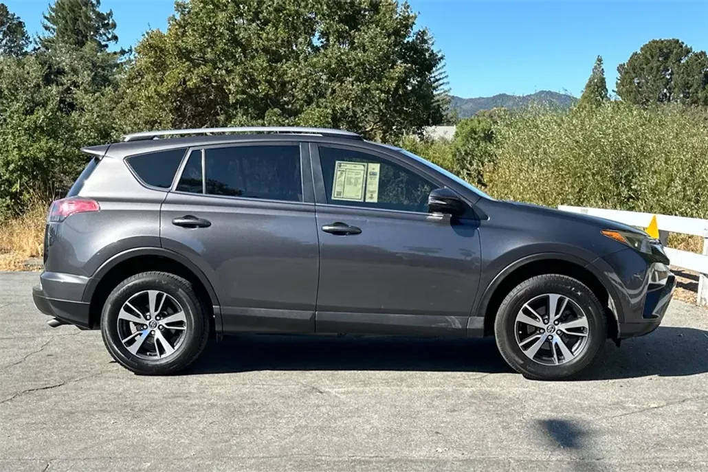 2017 Toyota RAV4 XLE photo 1