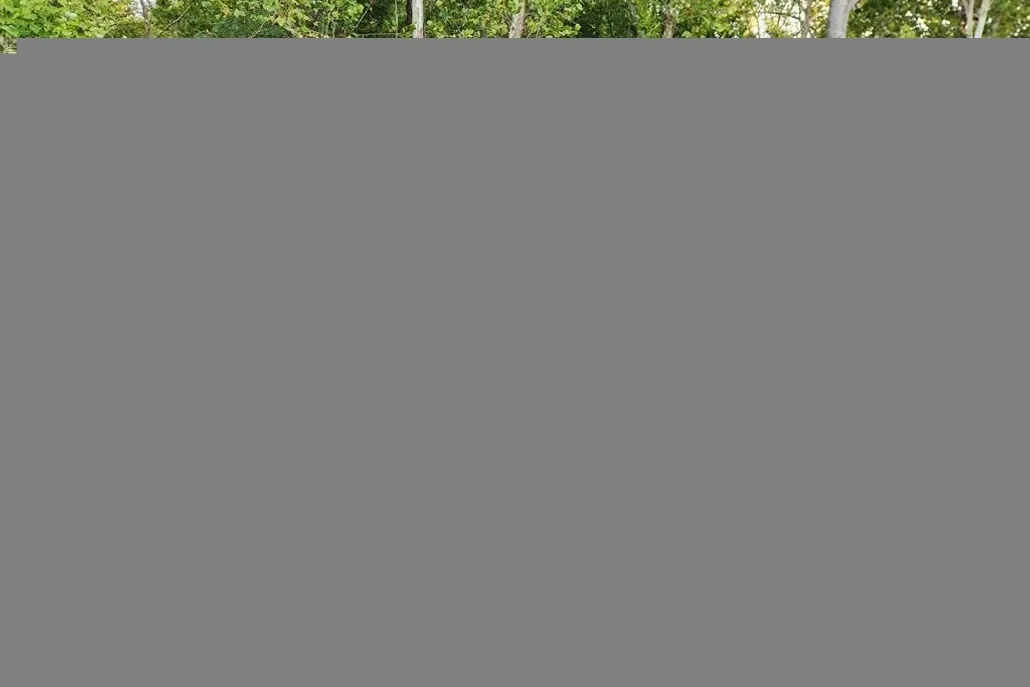 2014 Mercedes Benz GL 450 photo 1