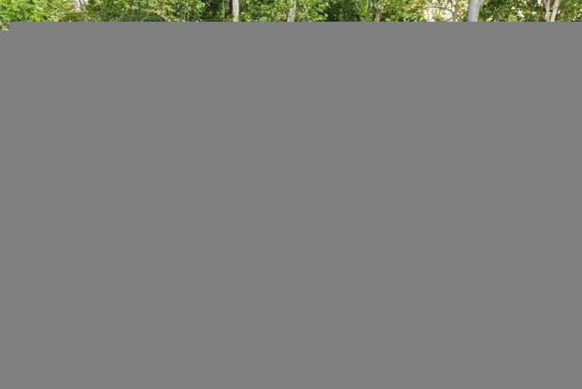 2014 Mercedes Benz GL 450 photo 1