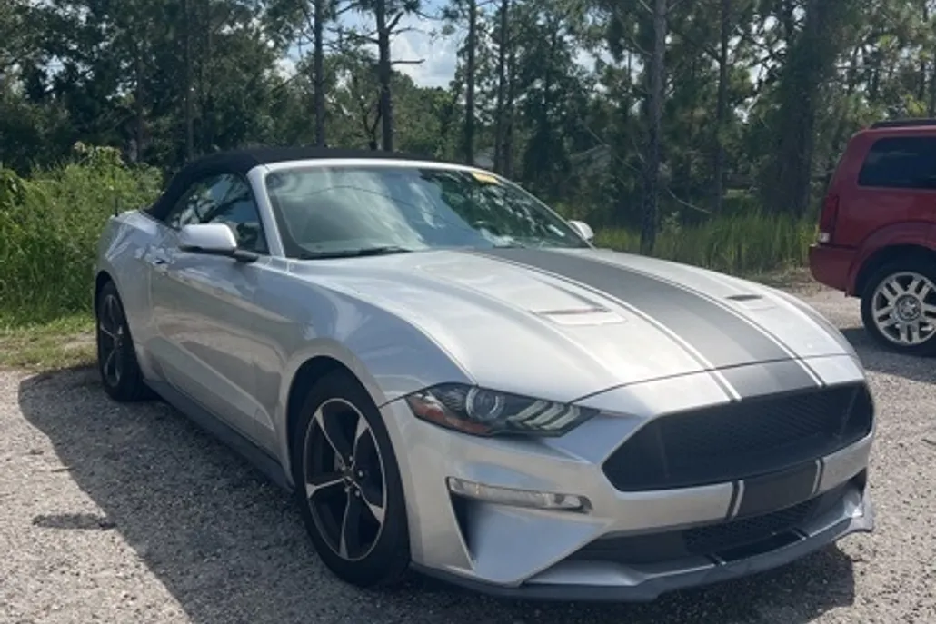 2019 Ford Mustang EcoBoost Premium photo 1