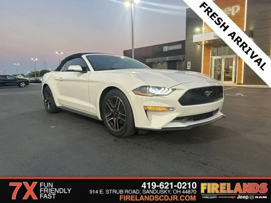 2019 Ford Mustang EcoBoost Premium photo 1