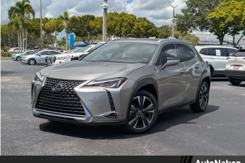 2019 Lexus UX 200 photo 1