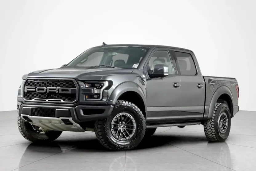 2019 Ford F-150 Raptor photo 1