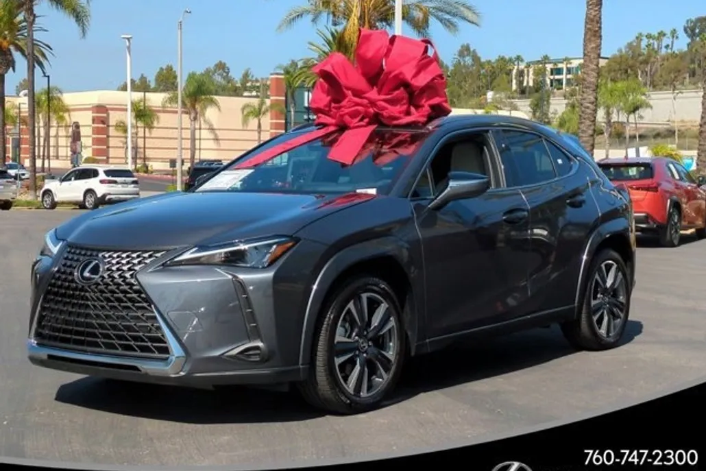 2025 Lexus UX Premium photo 1