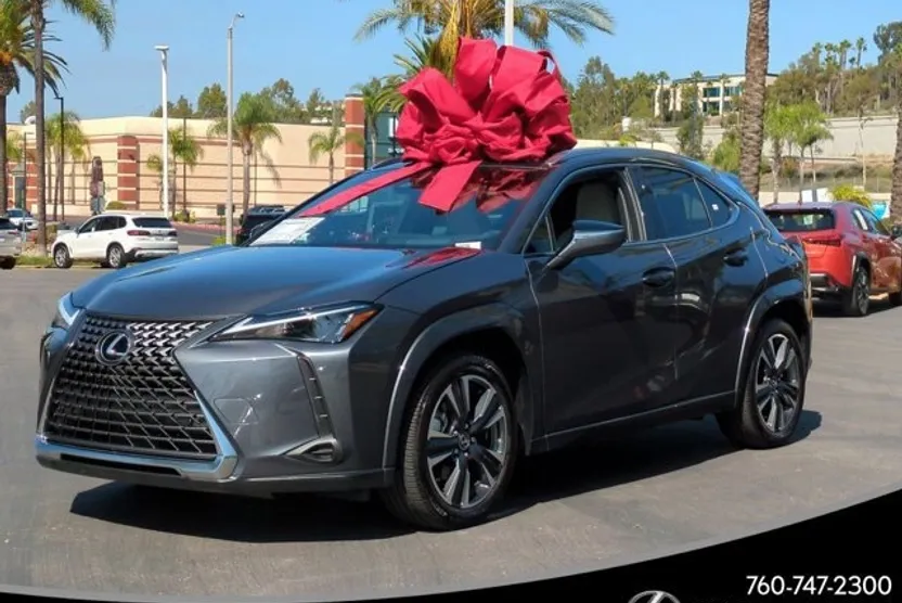 2025 Lexus UX Premium photo 1