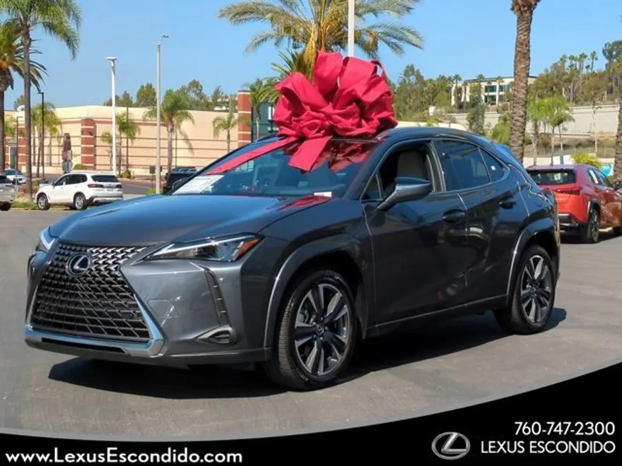 2025 Lexus UX Premium photo 1