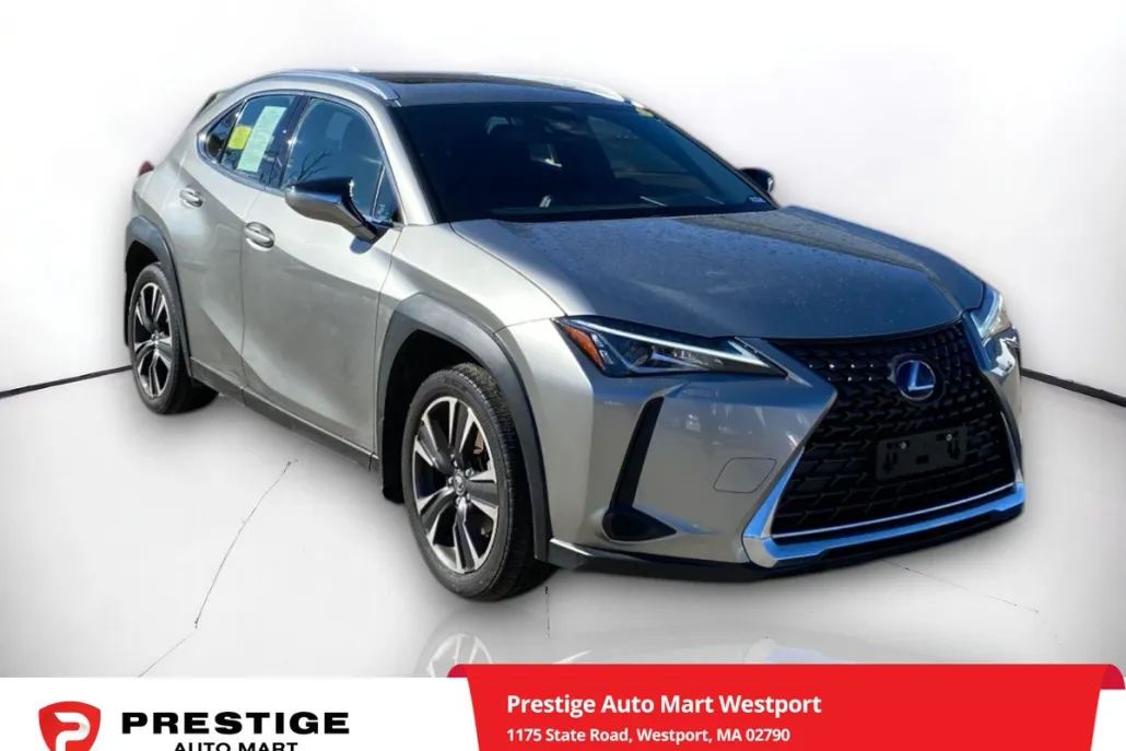 2021 Lexus UX 250h photo 1