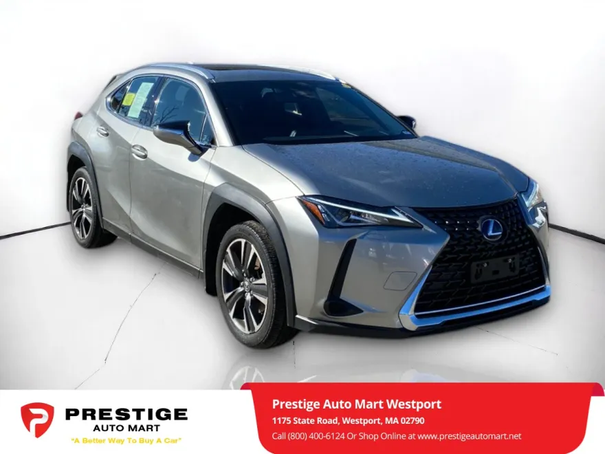 2021 Lexus UX 250h photo 1