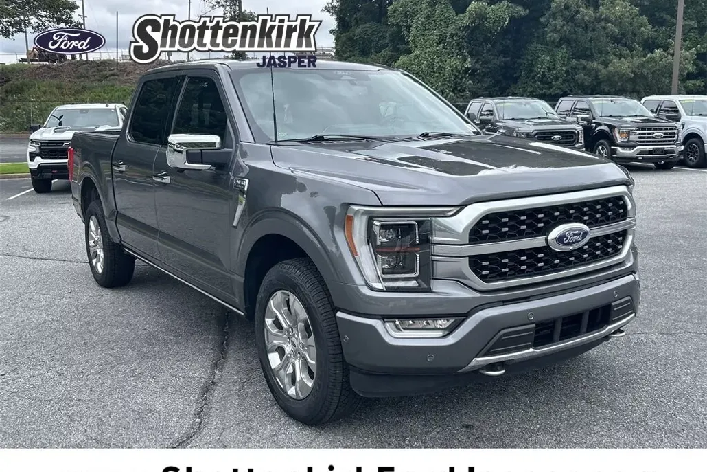 2022 Ford F-150 Platinum photo 1