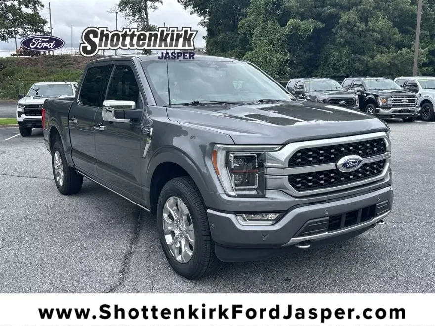 2022 Ford F-150 Platinum photo 1
