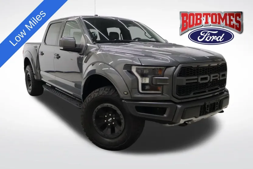 2018 Ford F-150 Raptor photo 1