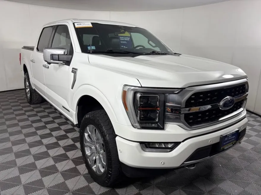 2021 Ford F-150 Platinum photo 1