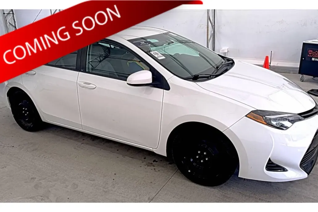 2019 Toyota Corolla LE photo 1