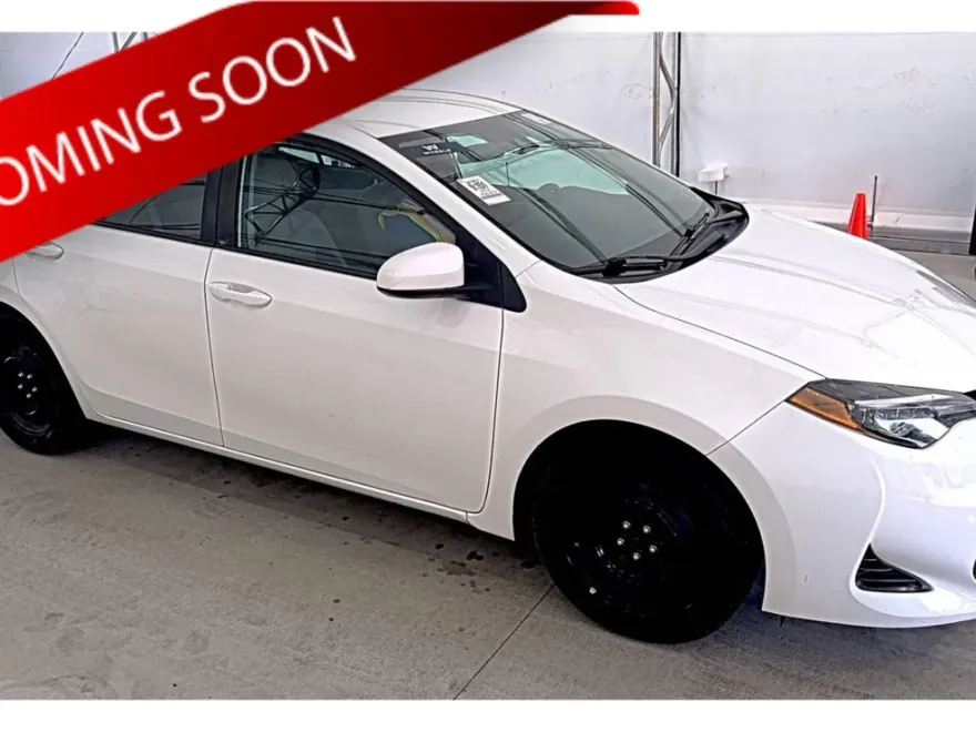 2019 Toyota Corolla LE photo 1