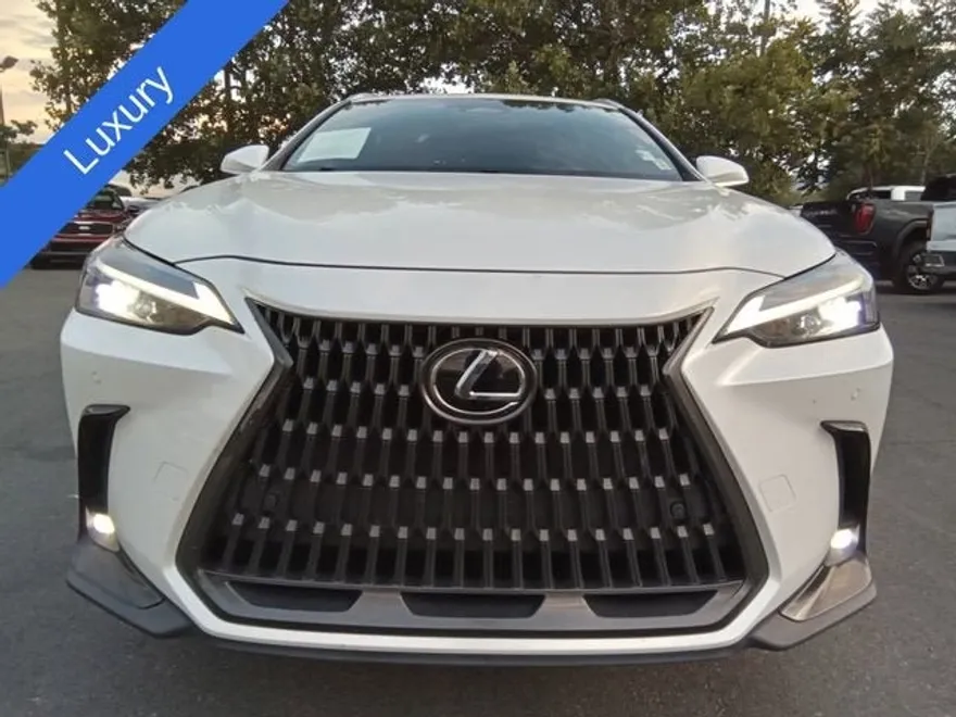 2022 Lexus NX 350h Premium photo 1