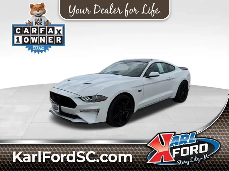 2019 Ford Mustang GT Premium photo 1