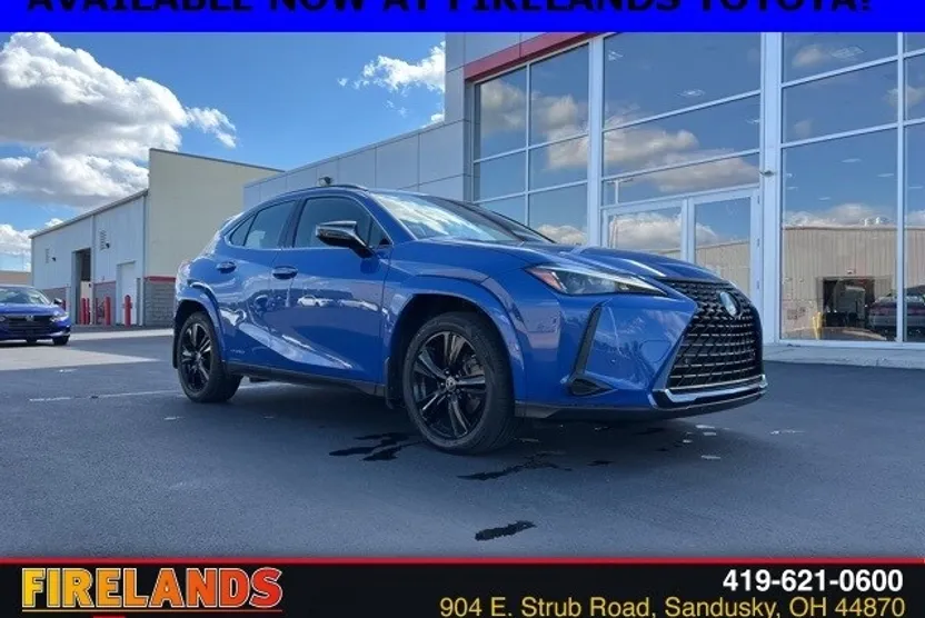2021 Lexus UX 250h photo 1