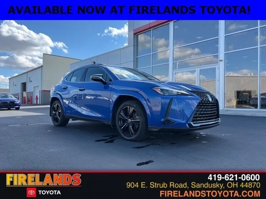 2021 Lexus UX 250h photo 1