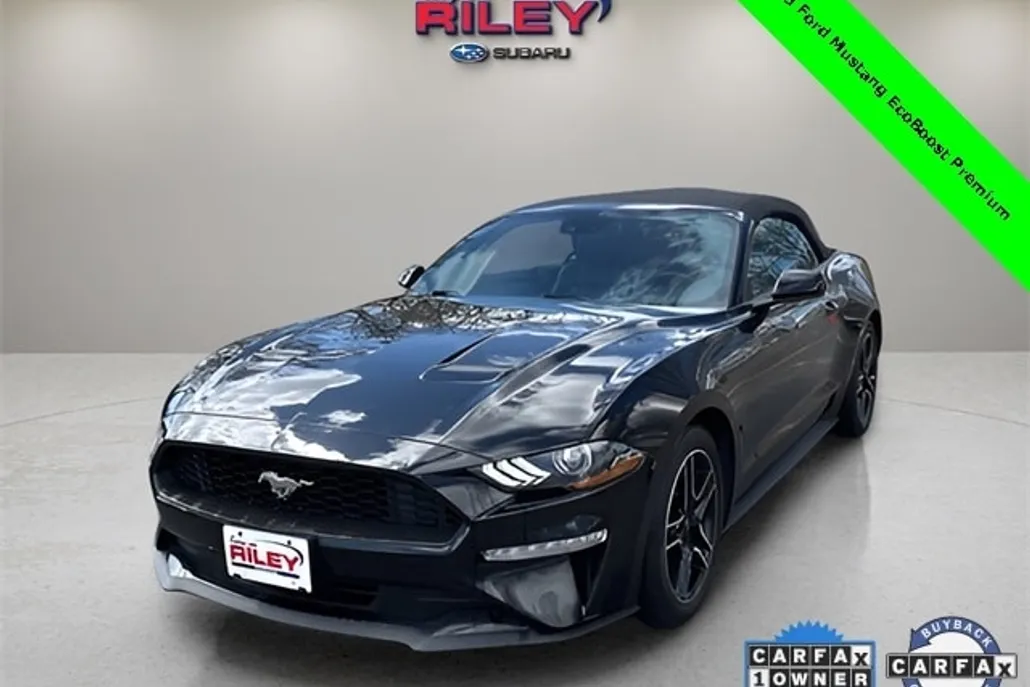 2023 Ford Mustang EcoBoost Premium photo 1