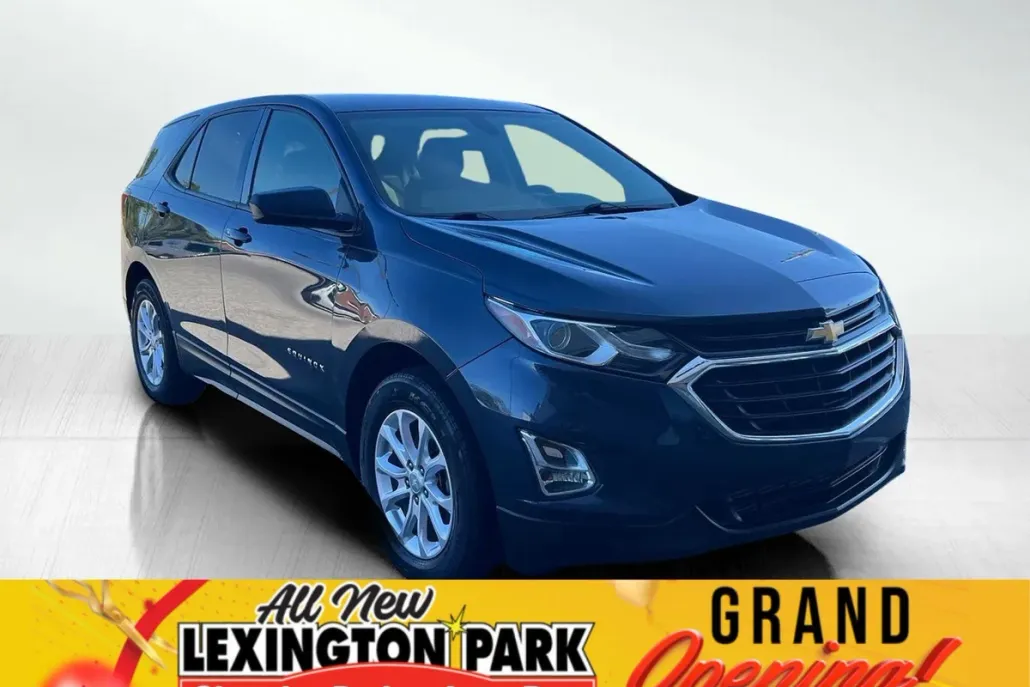 2019 Chevrolet Equinox LS photo 1
