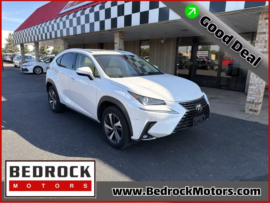 2019 Lexus NX 300 Luxury photo 1