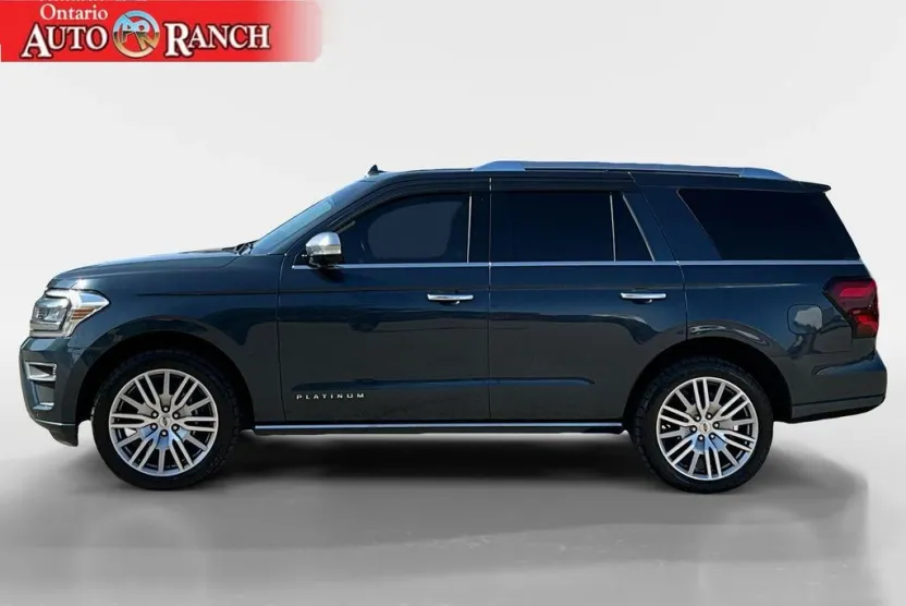 2022 Ford Expedition Platinum photo 1