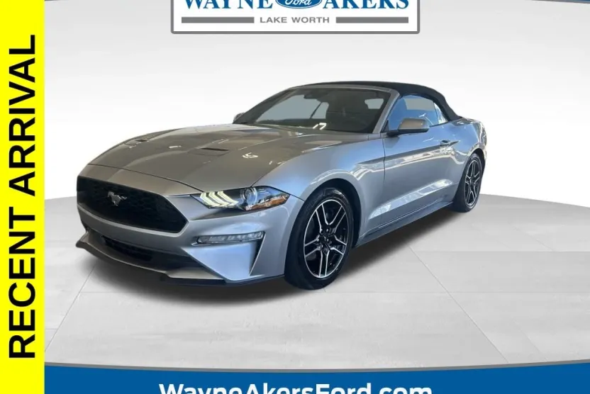 2023 Ford Mustang EcoBoost Premium photo 1