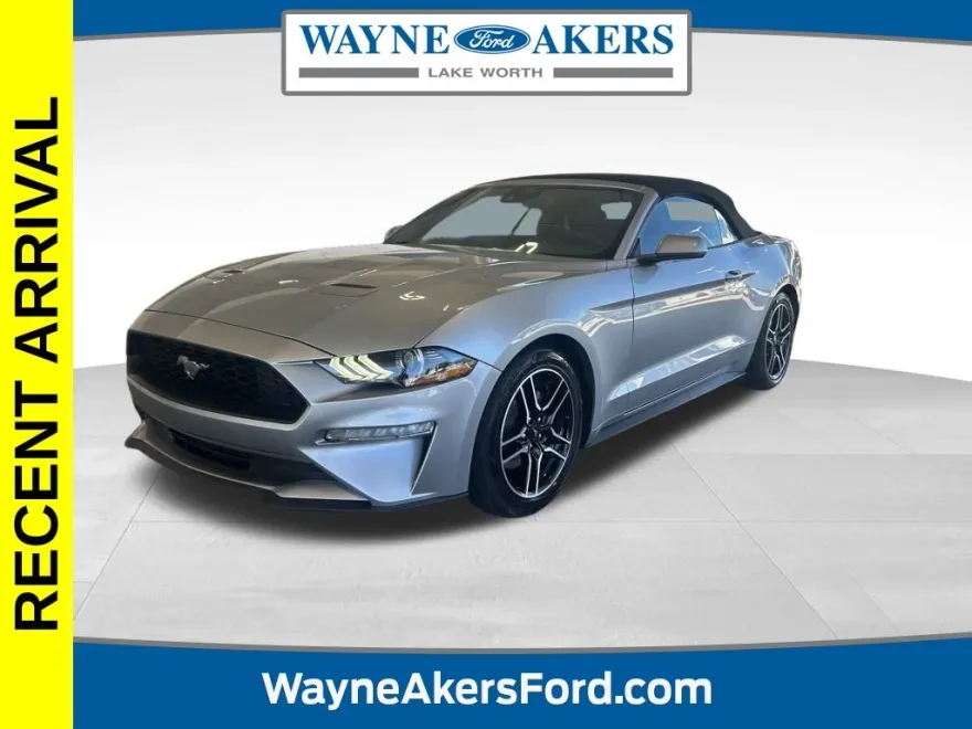 2023 Ford Mustang EcoBoost Premium photo 1