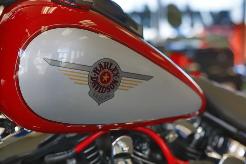 2001 Harley Davidson Fat Boy FLSTFI photo 1