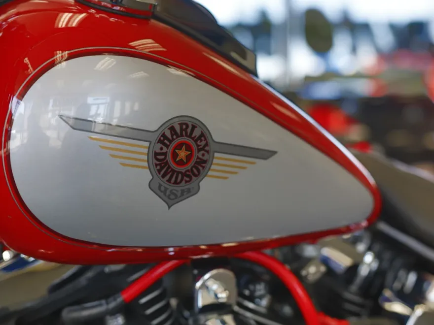 2001 Harley Davidson Fat Boy FLSTFI photo 1