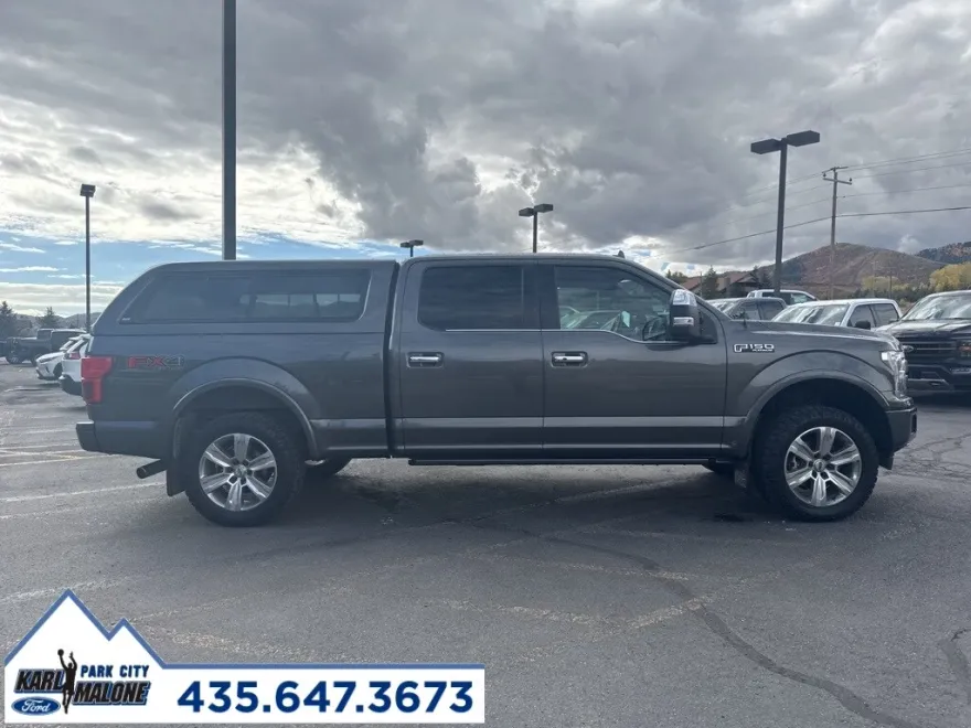 2019 Ford F-150 Platinum photo 1