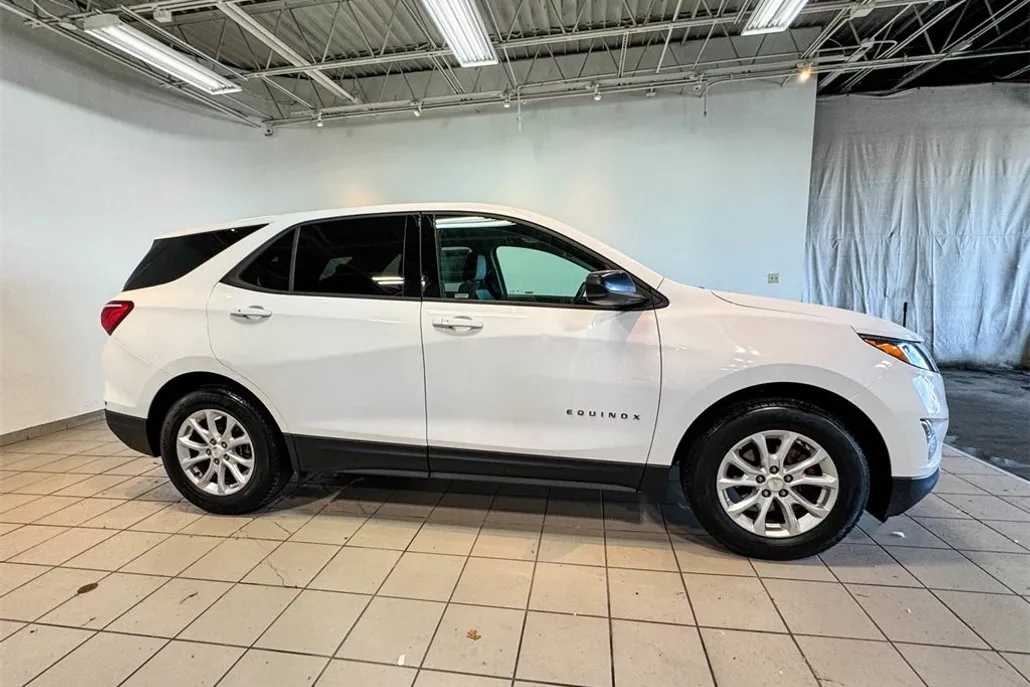 2019 Chevrolet Equinox LS photo 1