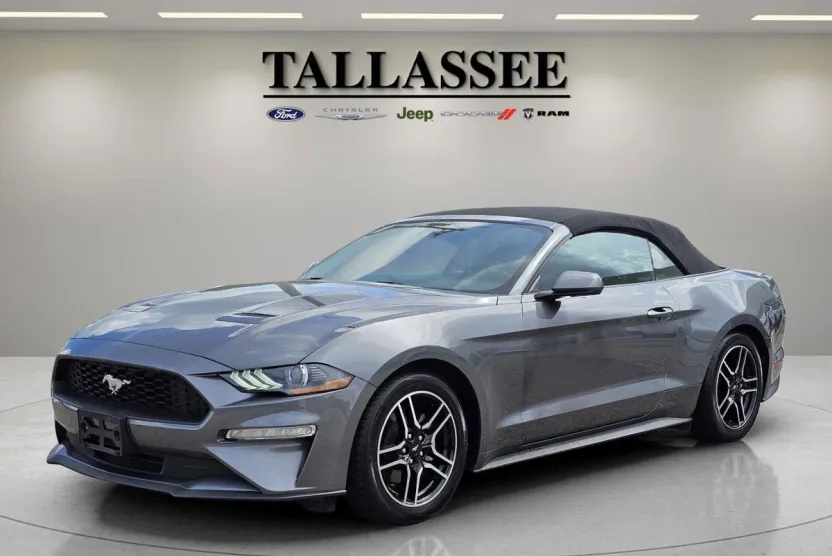 2023 Ford Mustang EcoBoost Premium photo 1