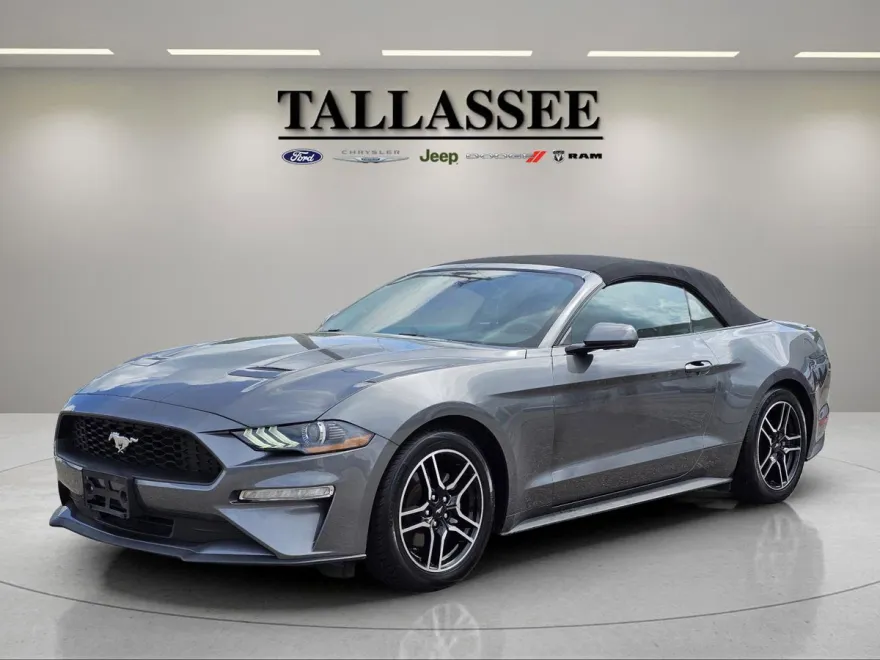 2023 Ford Mustang EcoBoost Premium photo 1