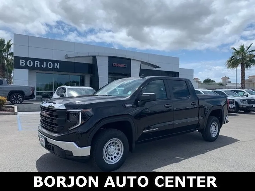 2025 Gmc Sierra 1500 Pro photo 1