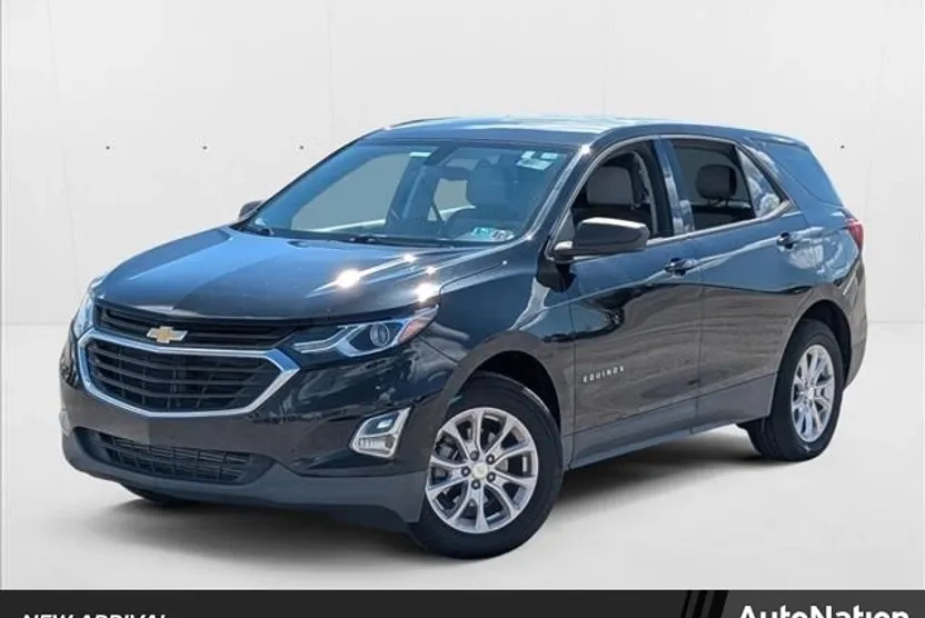 2019 Chevrolet Equinox LS photo 1