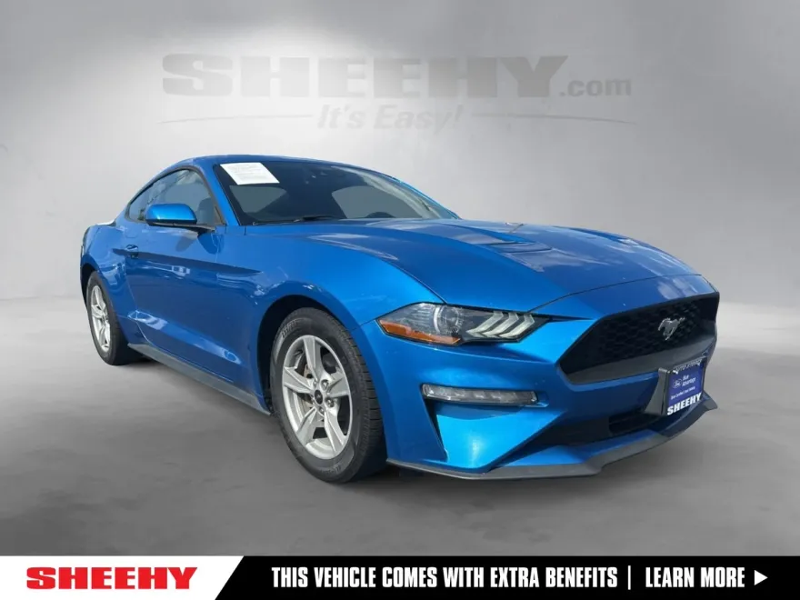 2021 Ford Mustang EcoBoost photo 1