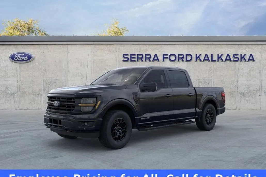 2025 Ford F-150 XLT photo 1